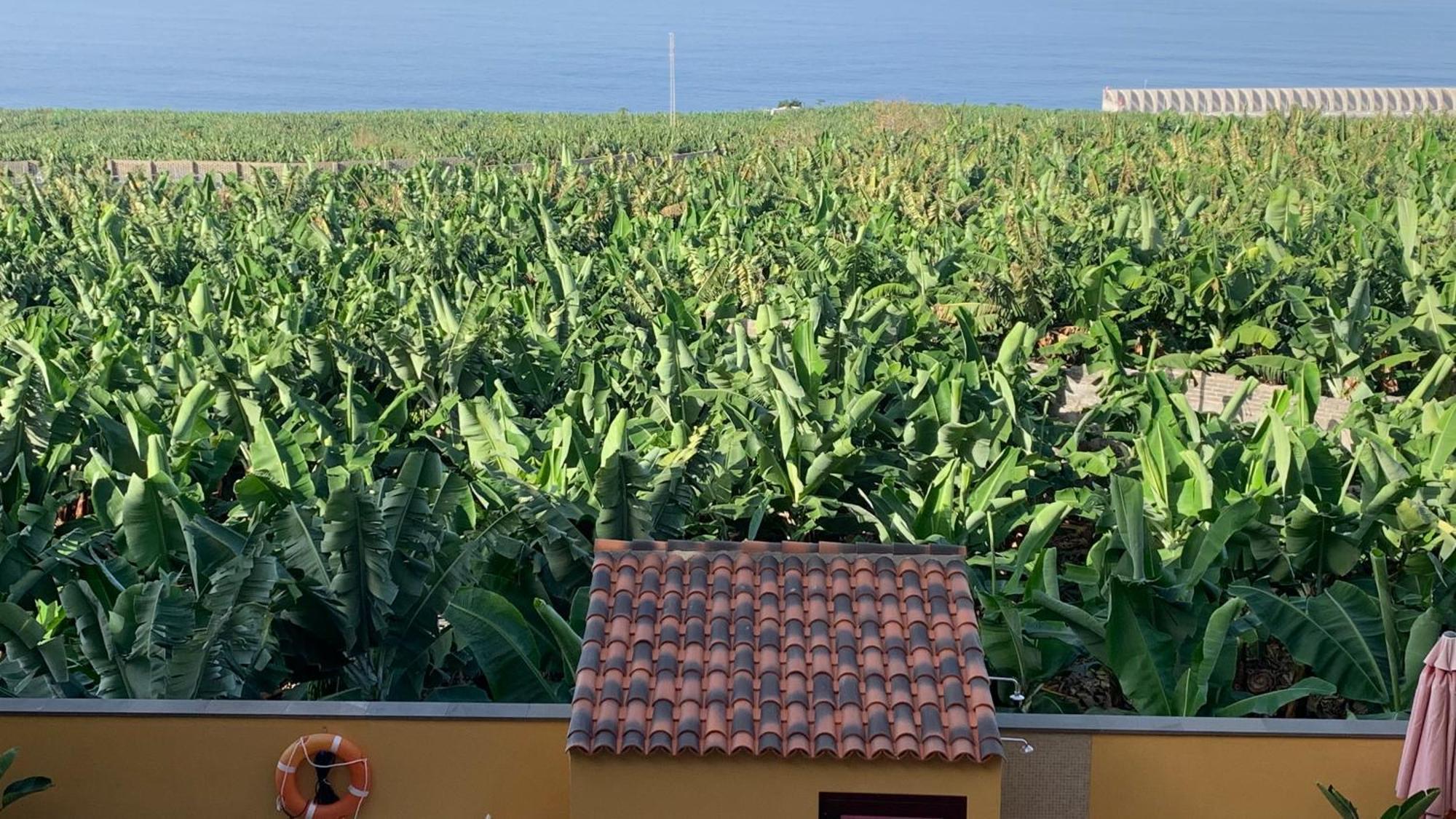 Apartamento Los Guirres Tazacorte Zewnętrze zdjęcie
